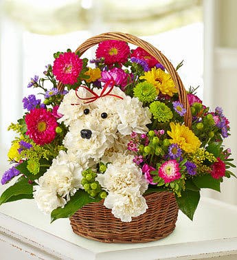 Adogable in a Basket Kansas City MO Flower Delivery Toblers Florist