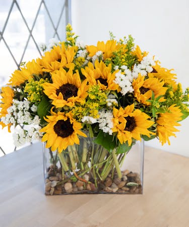 Sunflowers Showcase