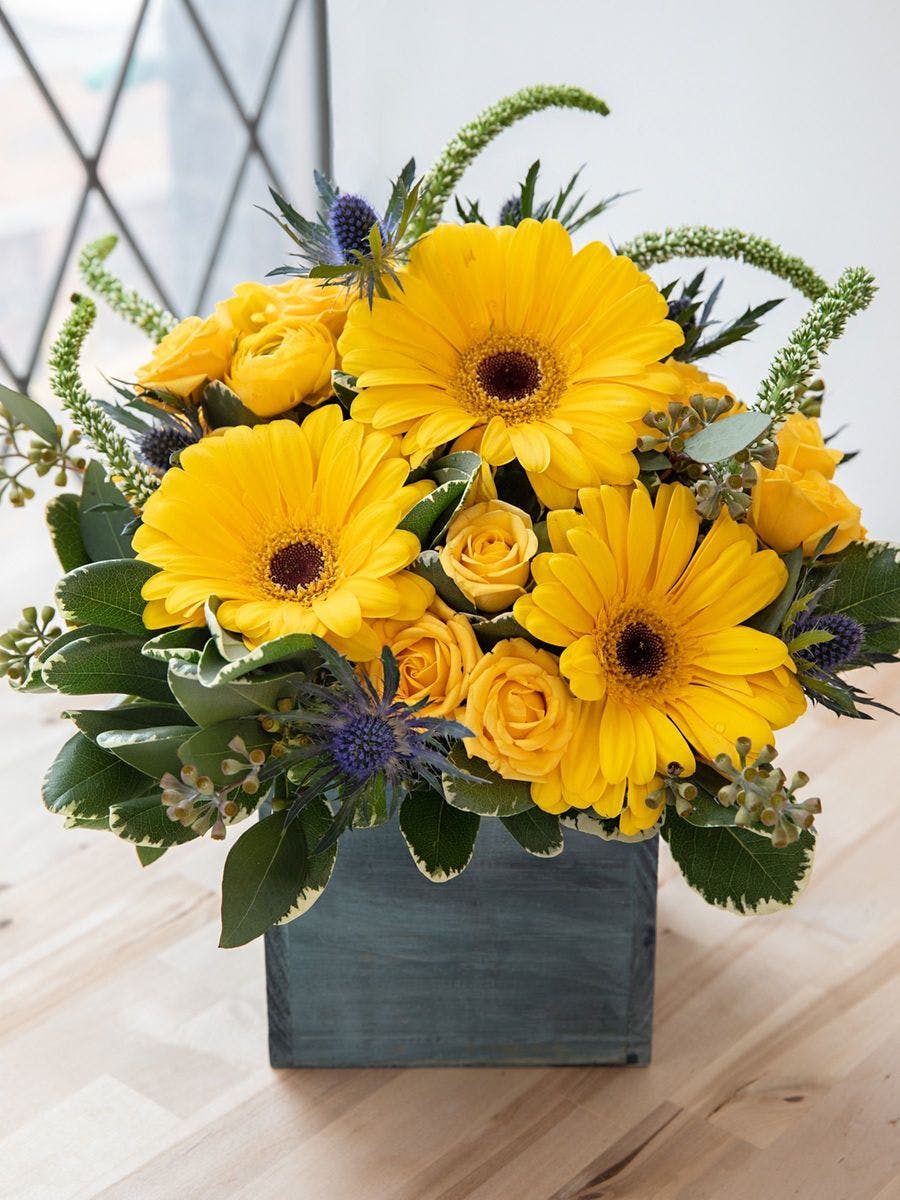 Ray of Sunshine Yellow Daisies Toblers Flowers Kansas City