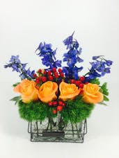 Vibrant Color