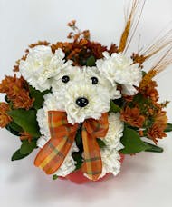 Dog-able for Fall