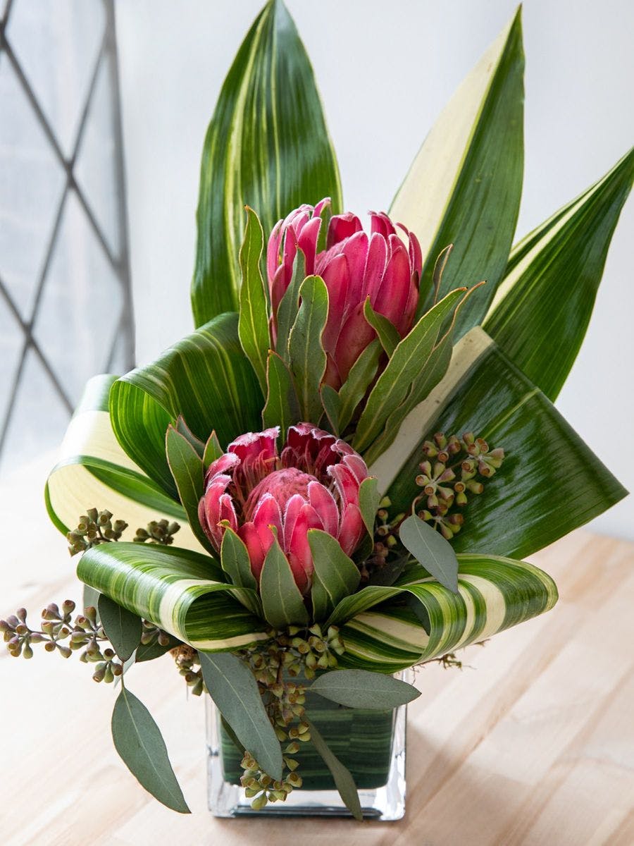 Exotic Duo Kansas City (MO) SameDay Flower Delivery Toblers Flowers