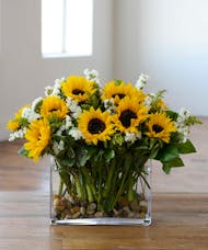 Sunflowers Showcase