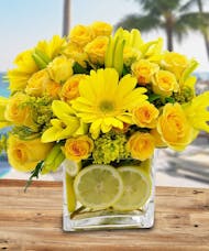 Citrus Sunshine