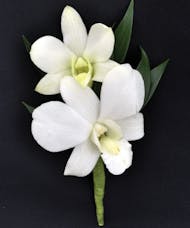 Dendrobium White Orchid