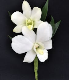 Dendrobium White Orchid Boutonniere