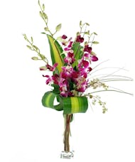 Exotic Orchid Budvase